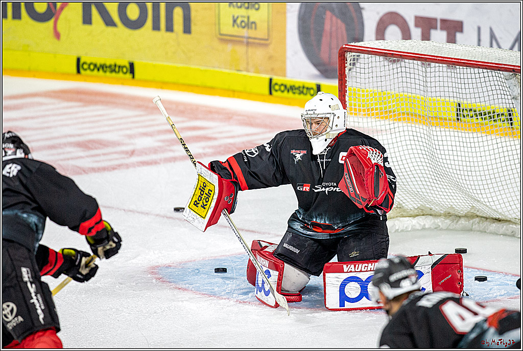 DEL; Koelner Haie - ERC Ingolstadt; Koeln, 03.11.2019